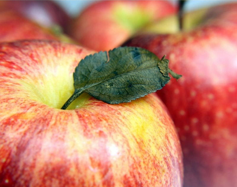 6 Ways to Reduce Sugar in Your Children’s Diet – Whole 30 Week 2