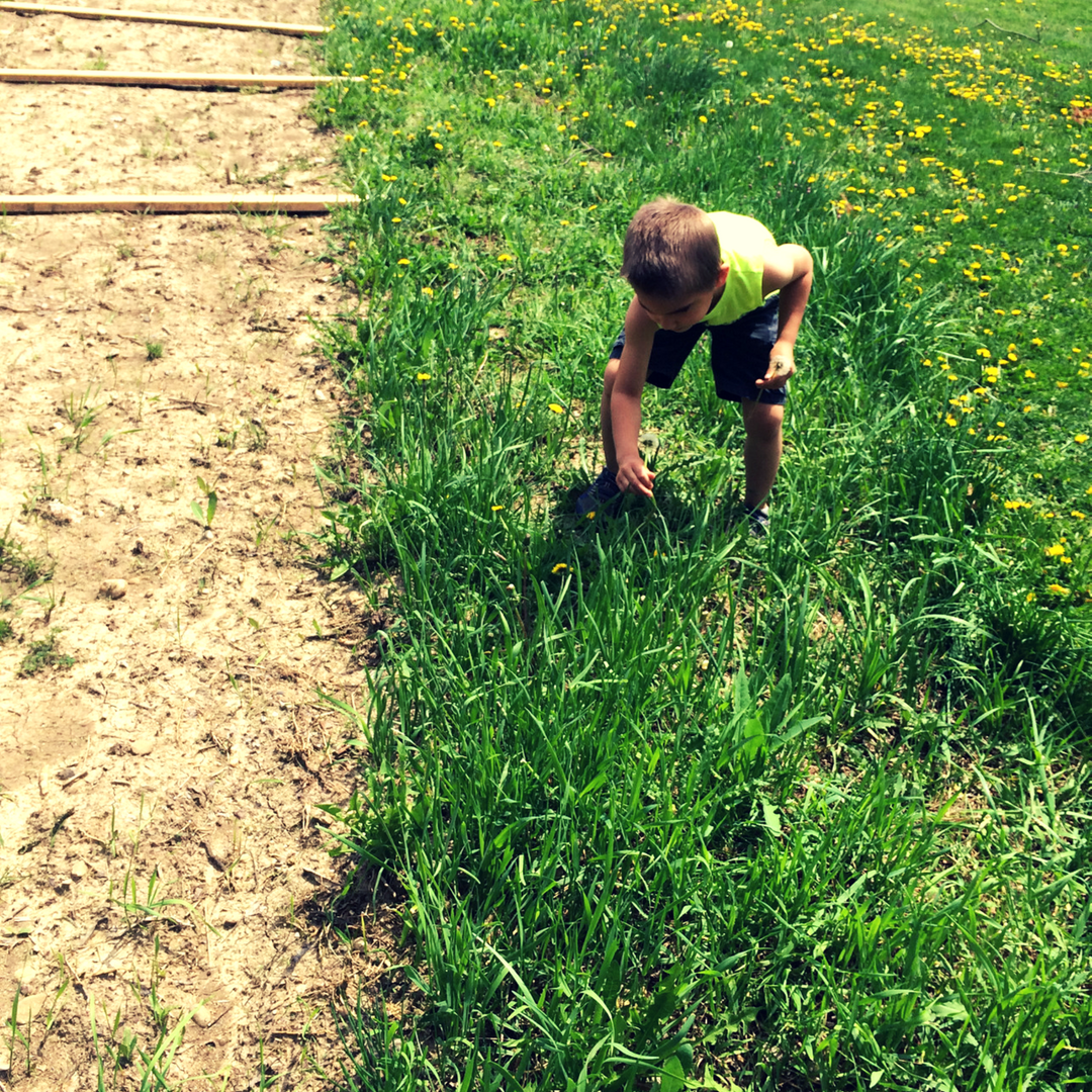 Untitled design - Copy (2)