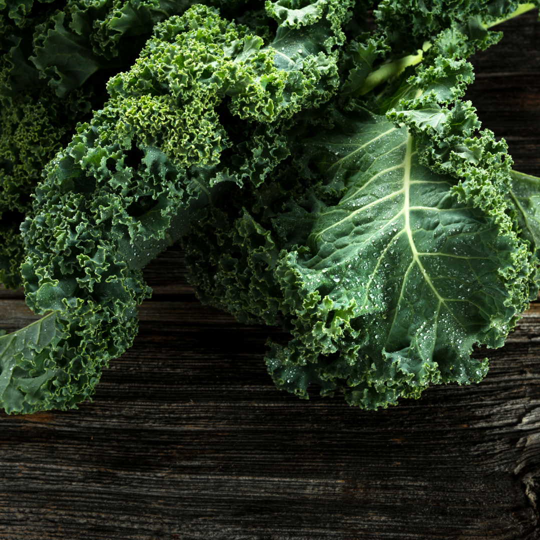 10 Most “Bang for Your Buck” Foods